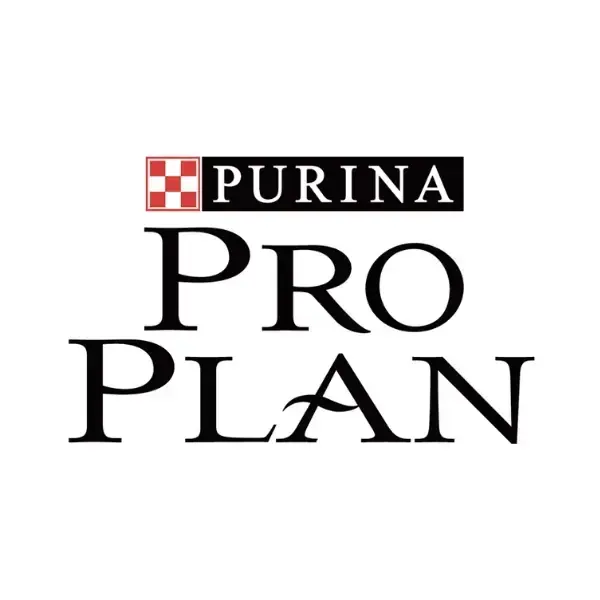 Pro Plan