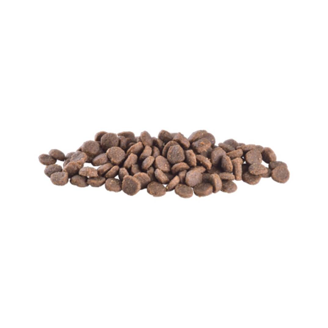 Brit Care Tahılsız Mini Kuzulu Yavru Köpek Maması 2 kg Hipoalerjenik İçerik ile Sağlıklı Büyüme - 3