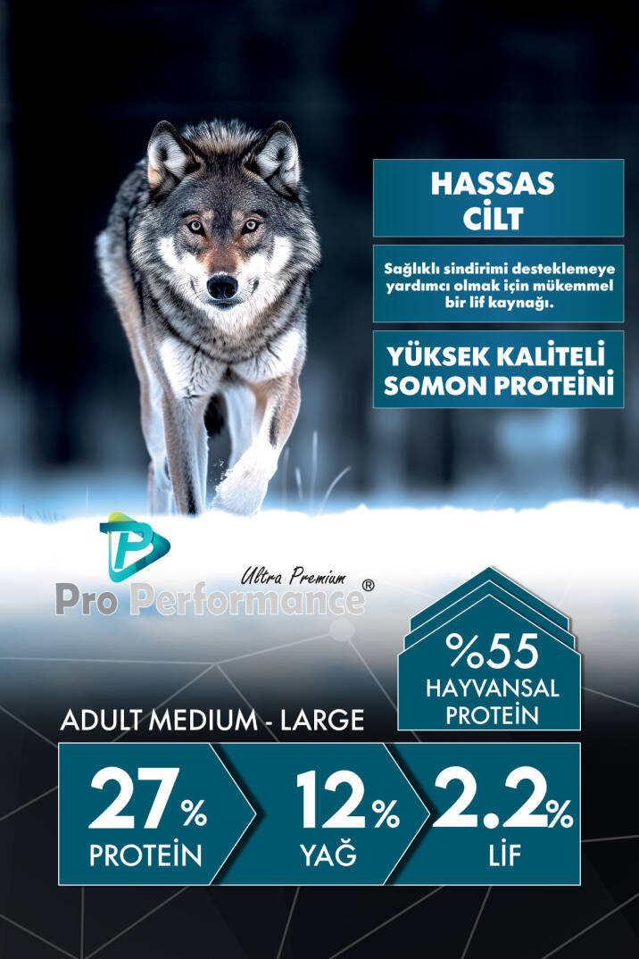 Pro Performance Somonlu ve Yaban Mersinli 12 kg Orta ve Büyük Irklar için Yetişkin Köpek Maması - 2