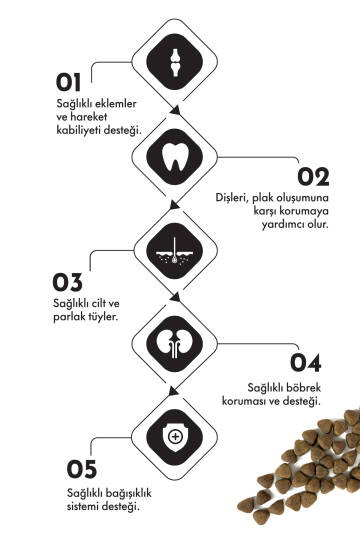 Pro Performance Somonlu ve Yaban Mersinli 12 kg Orta ve Büyük Irklar için Yetişkin Köpek Maması - 3