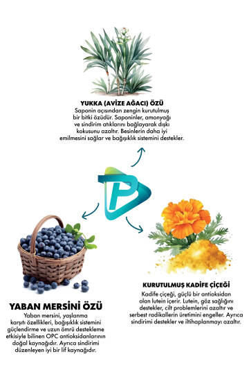 Pro Performance Somonlu ve Yaban Mersinli 12 kg Orta ve Büyük Irklar için Yetişkin Köpek Maması - 4